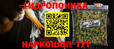 ГАЛЛЮЦИНОГЕННЫЕ ГРИБЫ Канаш