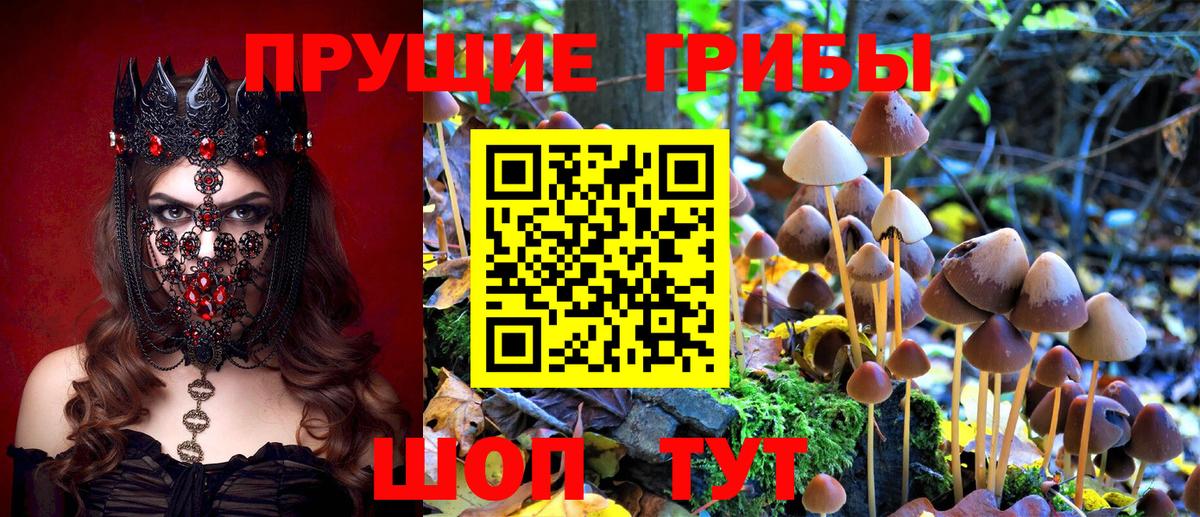 Псилоцибиновые грибы прущие грибы Кулебаки